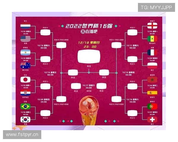 2026世界杯出线球队盘点：进入淘汰赛队伍完整整理